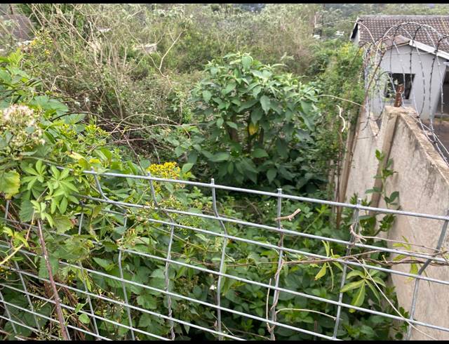 560M² VACANT LAND FOR SALE IN SIGNAL HILL